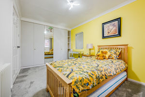 Paddock Rise Beechwood